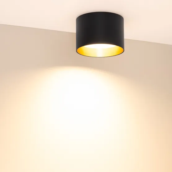 Фото #4 товара Светильник SP-BISCOTTO-R120-12W Warm3300-MIX (BK-GD, 80 deg, 230V) (Arlight, IP54 Металл, 5 лет)