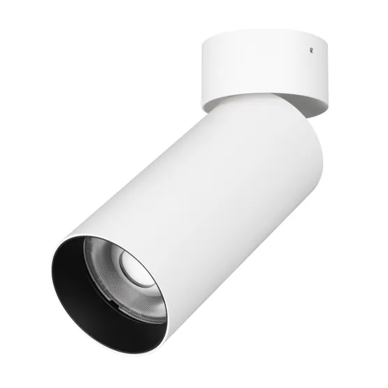 Фото #1 товара Светильник SP-GABI-SURFACE-FLAP-R60-12W Day4000 (WH, 36 deg, 230V) (Arlight, IP40 Металл, 5 лет)