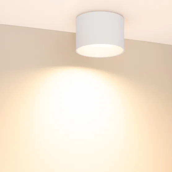 Фото #4 товара Светильник SP-BISCOTTO-R120-12W Warm3300-MIX (WH, 80 deg, 230V) (Arlight, IP54 Металл, 5 лет)