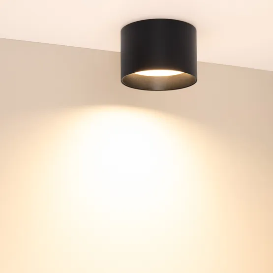 Фото #3 товара Светильник SP-BISCOTTO-R120-12W Warm3300-MIX (BK, 80 deg, 230V) (Arlight, IP54 Металл, 5 лет)
