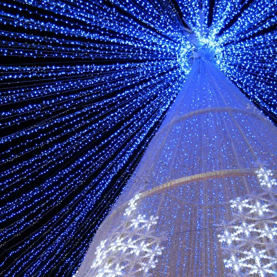 Фото #5 товара Светодиодная гирлянда ARD-STRING-CLASSIC-10000-WHITE-100LED-STD BLUE (230V, 7W) (Ardecoled, IP65, 1 год)