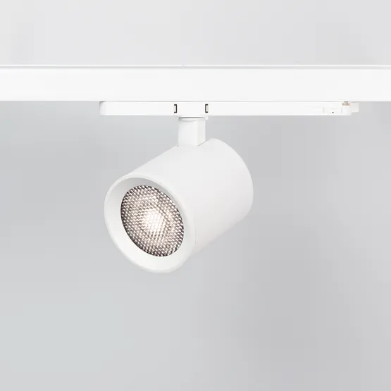 Фото #2 товара Сетчатый фильтр с посадочным кольцом LGD-NIKA-HCR-R100 (WH-BK) (Arlight, Металл)