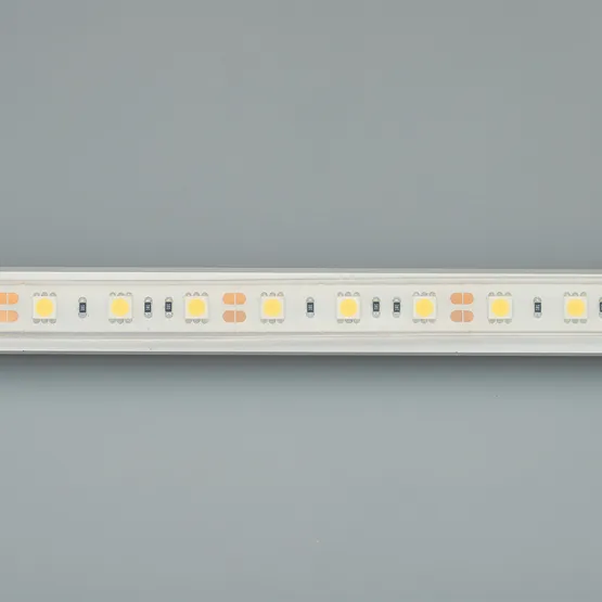 Фото #3 товара Светодиодная лента RTW 2-5000PGS 12V Warm 2x (5060, 300 LED, LUX) (Arlight, 14.4 Вт/м, IP67)