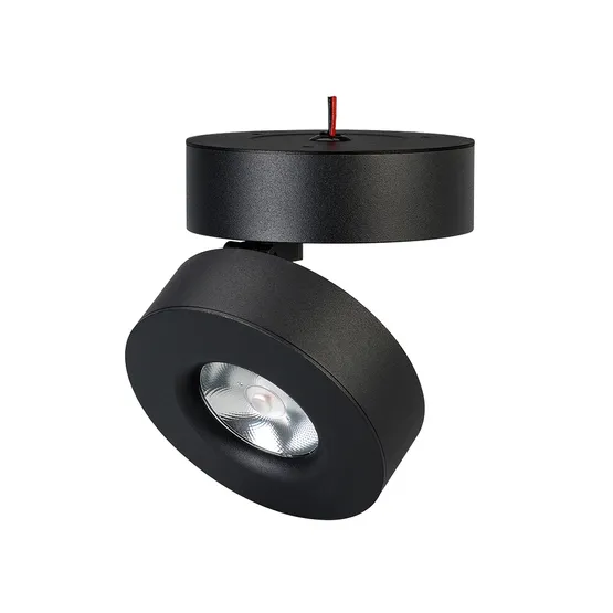 Фото #1 товара Светильник SP-MONA-SURFACE-R100-12W White5000 (BK, 24 deg) (Arlight, IP40 Металл, 3 года)