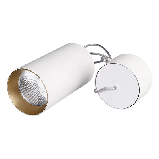 Фото #1 товара Светильник подвесной SP-POLO-R85-2-15W Day White 40deg (White, Gold Ring) (Arlight, IP20 Металл, 3 года)