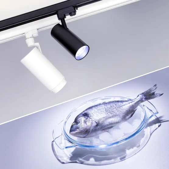Фото #2 товара Светильник LGD-ZEUS-4TR-R88-20W Cool SP7500-Fish (WH, 20-60 deg, 230V) (Arlight, IP20 Металл, 3 года)