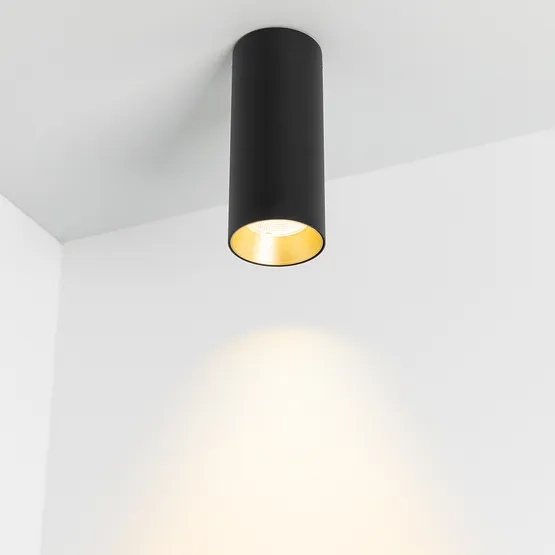 Фото #2 товара Светильник SP-POLO-SURFACE-R65-8W White5000 (BK-GD, 40 deg) (Arlight, IP20 Металл, 3 года)