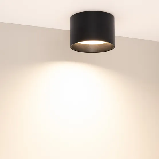 Фото #2 товара Светильник SP-BISCOTTO-R120-12W Warm3300-MIX (BK, 80 deg, 230V) (Arlight, IP54 Металл, 5 лет)