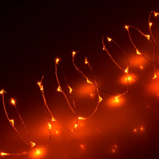 Фото #4 товара Светодиодная нить WR-5000-12V-Orange (1608,100LED) (Arlight, IP65)