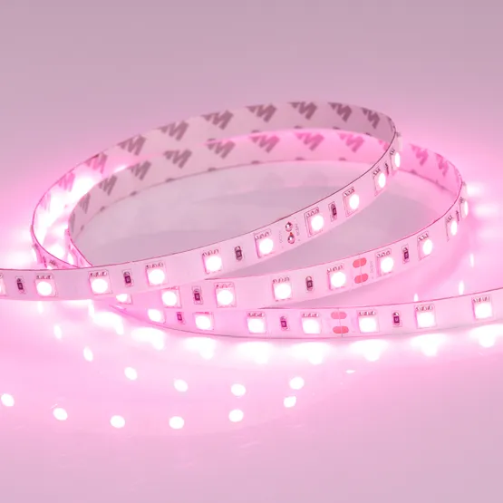 Фото #2 товара Светодиодная лента RT 2-5000 24V Pink 2x (5060, 300 LED, LUX) (Arlight, 14.4 Вт/м, IP20)