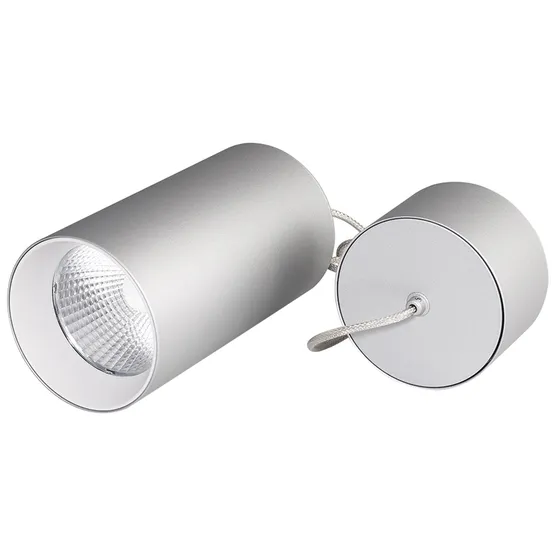 Фото #1 товара Светильник подвесной SP-POLO-R85-2-15W Day White 40deg (Silver, White Ring) (Arlight, IP20 Металл, 3 года)