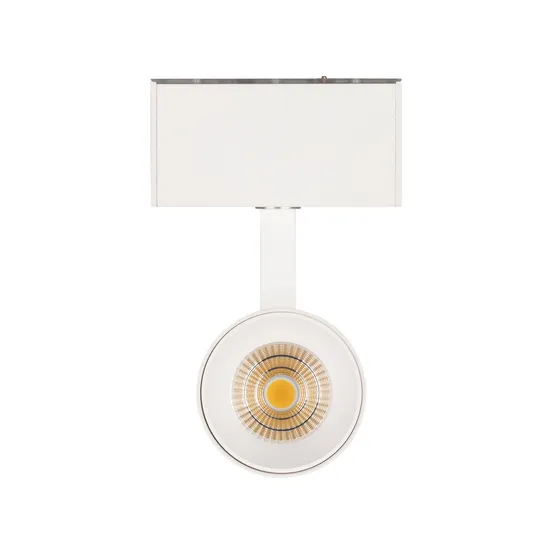 Фото #4 товара Светильник MAG-SPOT-45-R85-12W Warm3000 (WH, 36 deg, 24V, DALI) (Arlight, IP20 Металл, 5 лет)
