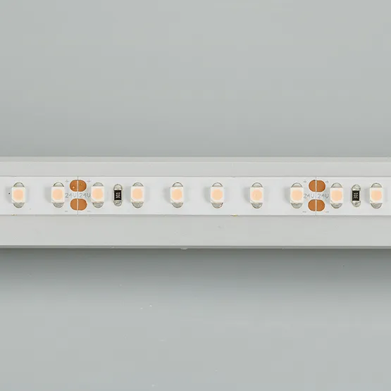 Фото #4 товара Светодиодная лента RT 2-5000 24V White6000 2x (3528, 600 LED, LUX) (Arlight, 9.6 Вт/м, IP20)