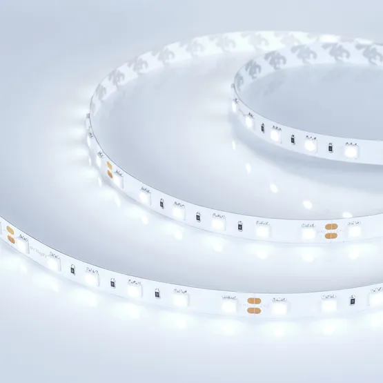 Фото #1 товара Светодиодная лента RT 2-5000 24V Cool 8K 2x (5060, 300 LED, LUX) (Arlight, 14.4 Вт/м, IP20)