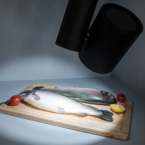 Фото #3 товара Светильник LGD-SHOP-4TR-R100-40W Cool SP7500-Fish (BK, 24 deg) (Arlight, IP20 Металл, 3 года)