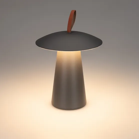 Фото #8 товара Светильник SP-PATIO-TAB-2W Warm3000 (BK, 127 deg) (Arlight, IP54 Металл, 2 года)