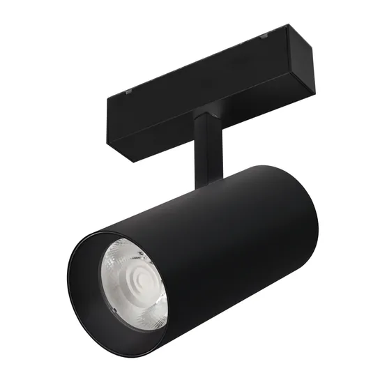 Фото #1 товара Светильник MAG-SPOT-45-R85-25W Day4000 (BK, 36 deg, 24V) (Arlight, IP20 Металл, 3 года)