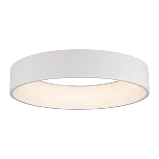 Фото #3 товара Светильник SP-TOR-RING-HANG-R600-42W Warm3000 (WH, 120 deg) (Arlight, IP20 Металл, 3 года)