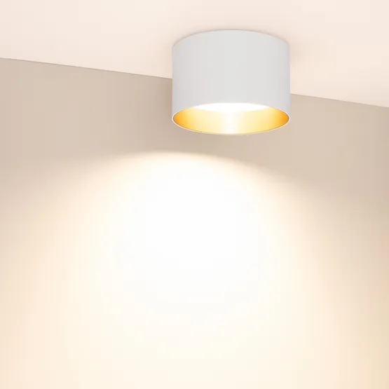 Фото #3 товара Светильник SP-BISCOTTO-R140-15W Warm3300-MIX (WH-GD, 80 deg, 230V) (Arlight, IP54 Металл, 5 лет)