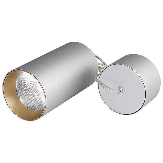 Фото #1 товара Светильник подвесной SP-POLO-R85-2-15W Day White 40deg (Silver, Gold Ring) (Arlight, IP20 Металл, 3 года)