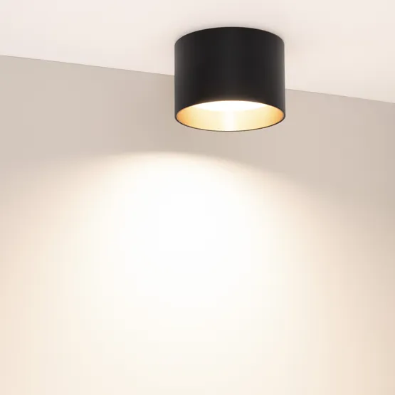 Фото #3 товара Светильник SP-BISCOTTO-R120-12W Warm3300-MIX (BK-GD, 80 deg, 230V) (Arlight, IP54 Металл, 5 лет)
