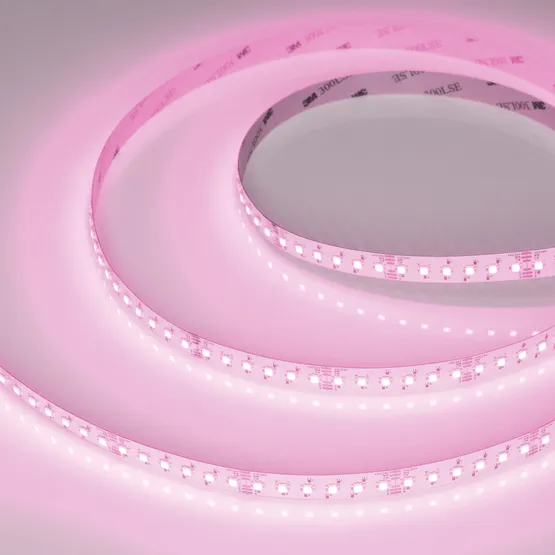 Фото #2 товара Светодиодная лента RT-AM360-12mm 24V RGBW-MIX (24 W/m, IP20, 2835/2210, 5m) (Arlight, RGB-CCT, RGB-MIX, RGB-White MIX)