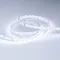 Минифото #2 товара Светодиодная лента IC 2-30000 24V Cool 8K 10mm (2835, 60 LED/m, LUX) (Arlight, 4.6 Вт/м, IP20)