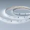 Минифото #1 товара Светодиодная лента DMX-A96-12mm 24V White6000-PX12 (14 W/m, IP20, 5m) (Arlight, CRI>90)