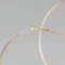 Минифото #2 товара Светодиодная гирлянда ARD-DEW-HOME-10000-100LED-LIVE Warm3000 (5V, USB, ПДУ) (Ardecoled, IP20)
