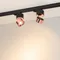 Минифото #3 товара Светильник SP-PLURIO-TRACK-4TR-R77-9W Warm3000 (BK-COP, 36 deg, 230V) (Arlight, IP20 Металл, 3 года)