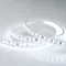 Минифото #3 товара Светодиодная лента ARL-50000PC-220V White6000 (3056, 72 LED/m, IP65) (Arlight, 14 Вт/м, IP65)