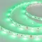 Минифото #4 товара Светодиодная лента RT 2-5000 12V Green (5060, 150 LED, LUX) (Arlight, 7.2 Вт/м, IP20)