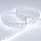 Минифото #2 товара Светодиодная лента RT 2-5000 24V Cool 8K (3528, 300 LED, LUX) (Arlight, 4.8 Вт/м, IP20)