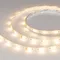 Минифото #4 товара Светодиодная лента RTW-SE-B60-10mm 24V RGBW-Warm (14.4 W/m, IP65, 5060, 5m) (Arlight, Открытый)