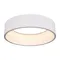 Минифото #3 товара Светильник SP-TOR-RING-HANG-R460-33W Warm3000 (WH, 120 deg) (Arlight, IP20 Металл, 3 года)