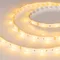 Минифото #2 товара Светодиодная лента RTW 2-5000SE 12V Yellow (5060, 150 LED, LUX) (Arlight, 7.2 Вт/м, IP65)