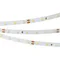 Минифото #1 товара Светодиодная лента RT-A60-8mm 24V Warm3000 SUN (7.2 W/m, IP20, 2835, 5m) (Arlight, -)