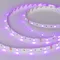 Минифото #3 товара Светодиодная лента RT-B30-10mm 12V RGB (7.2 W/m, IP20, 5060, 5m) (Arlight, Открытый)