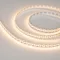 Минифото #1 товара Светодиодная лента RT-A168-10mm 24V Warm2400-CX2 (17.3 W/m, IP20, 2835, 5m) (Arlight, резка 2 светодиода)