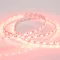 Минифото #2 товара Светодиодная лента RT 2-5000 12V Red 2x (5060, 300 LED, LUX) (Arlight, 14.4 Вт/м, IP20)
