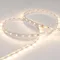 Минифото #4 товара Светодиодная лента RT 2-5000 24V Warm2700 (3528, 300 LED, S-LUX) (Arlight, Открытый)