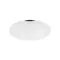 Минифото #1 товара Светильник MS-ARADO-TRIMLESS-R75-12W Warm2700 (WH-WH, 55 deg, 230V) (Arlight, IP20 Металл, 5 лет)