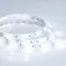 Минифото #2 товара Светодиодная лента RTW 2-5000SE 12V Cool (5060, 150 LED, LUX) (Arlight, 7.2 Вт/м, IP65)