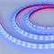 Минифото #3 товара Светодиодная лента RTW 2-5000P 12V Blue (3528, 300 LED, LUX) (Arlight, 4.8 Вт/м, IP66)