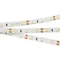Минифото #1 товара Светодиодная лента RT 2-5000 12V Warm2700 (3528, 300 LED, CRI98) (Arlight, 4.8 Вт/м, IP20)