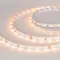 Минифото #2 товара Светодиодная лента RT-A60-8mm 24V Warm3000 SUN (7.2 W/m, IP20, 2835, 5m) (Arlight, -)