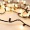 Минифото #1 товара Светодиодная гирлянда ARD-STRING-CLASSIC-1000-BLACK-100LED-MILK PULSE Warm (230V, 7W) (Ardecoled, IP65, 1 год)
