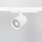Минифото #2 товара Сетчатый фильтр с посадочным кольцом LGD-NIKA-HCR-R100 (WH-BK) (Arlight, Металл)