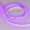 Минифото #3 товара Светодиодная лента RT 2-5000 12V Pink (3528, 300 LED, LUX) (Arlight, 4.8 Вт/м, IP20)