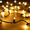 Минифото #1 товара Светодиодная гирлянда ARD-STRING-CLASSIC-10000-BLACK-100LED-MILK-STD Warm (230V, 7W) (Ardecoled, IP65, 1 год)